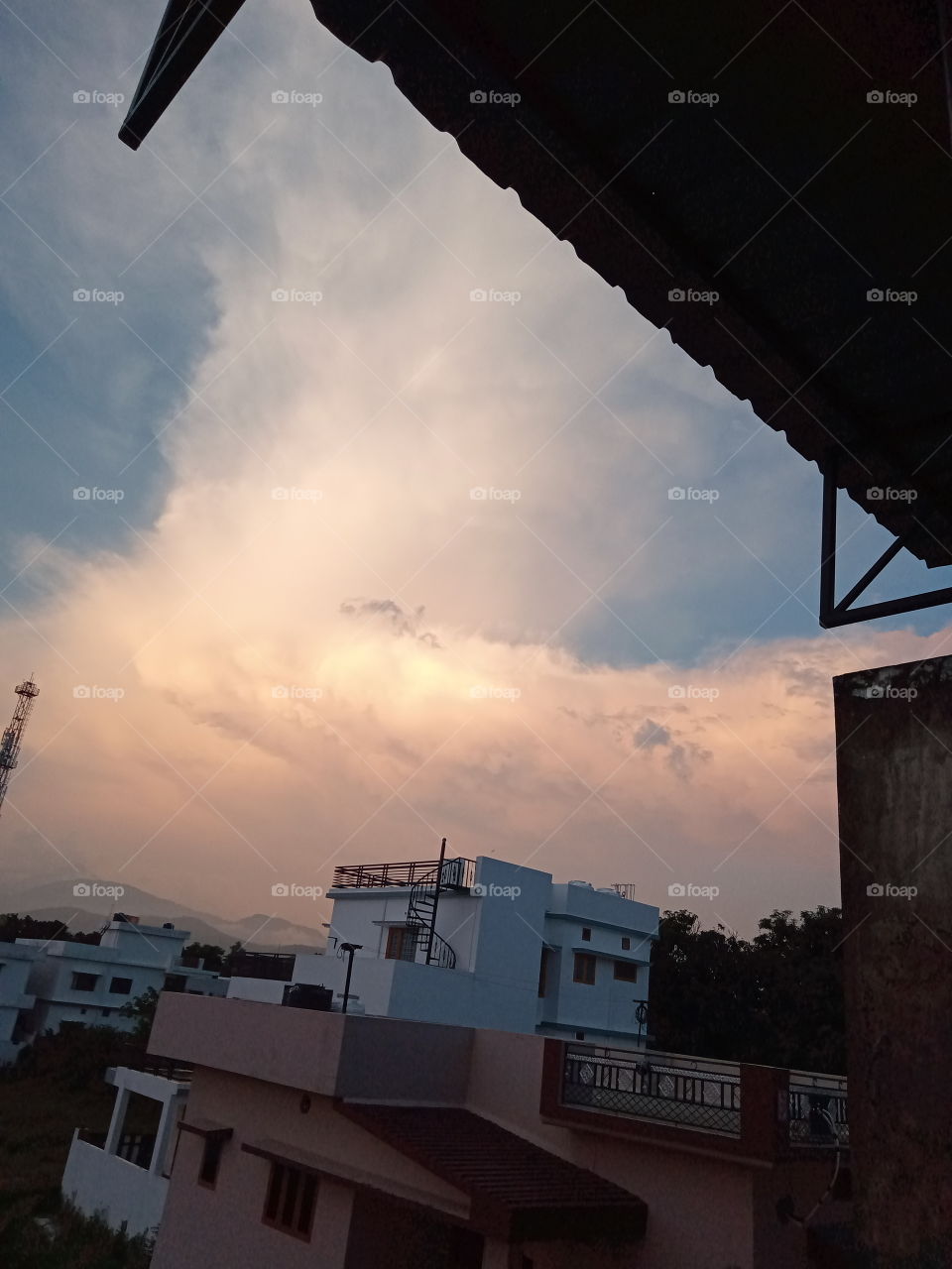 The at dusk in monsoon