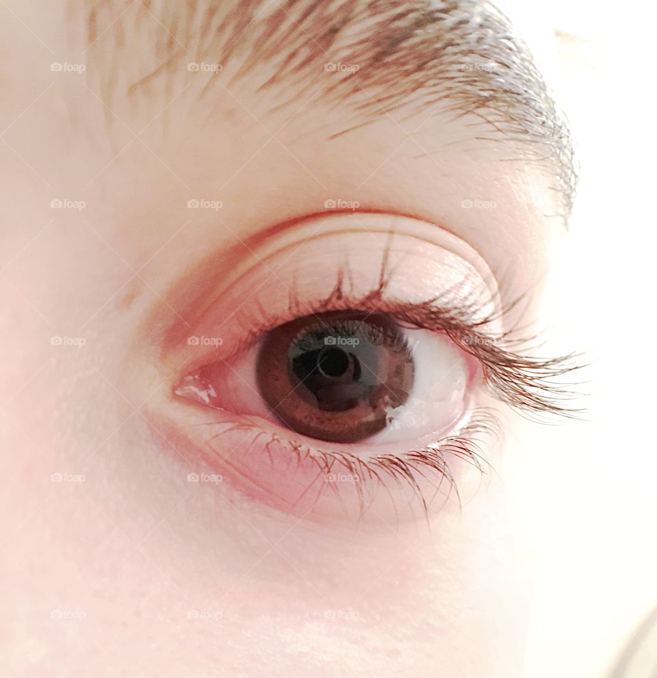 Brown eyes III