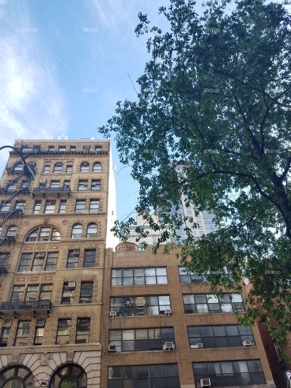 Building in Flatiron on 23rd street - Lower Manhattan. NYC Architecture.