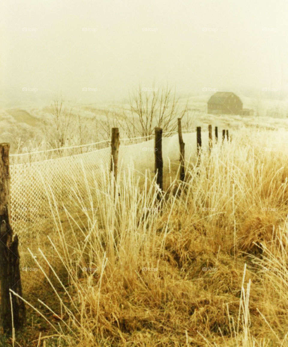 Frost Barn