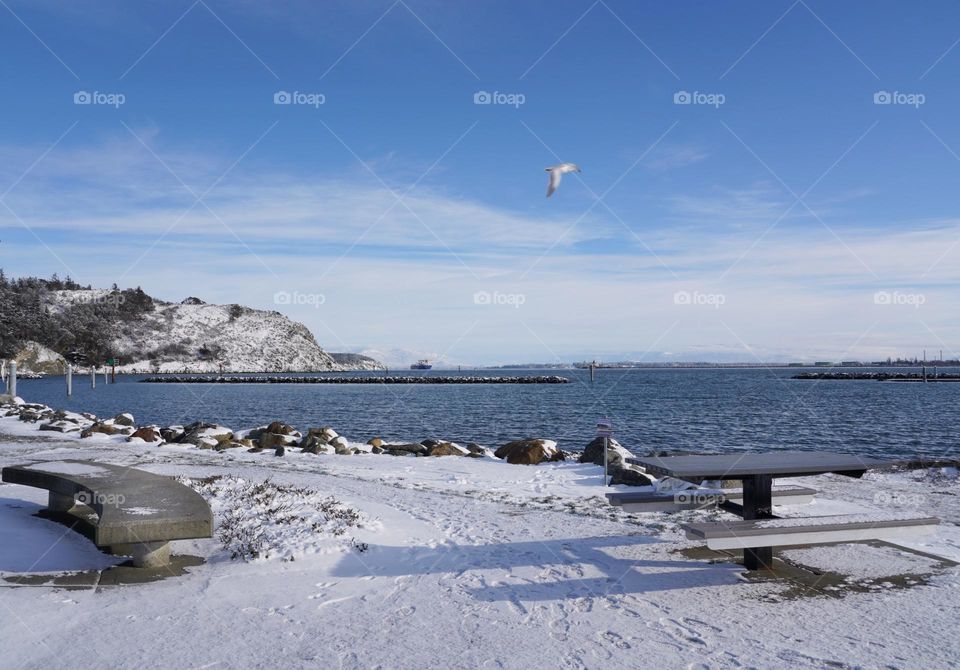 Snowy park by the sea