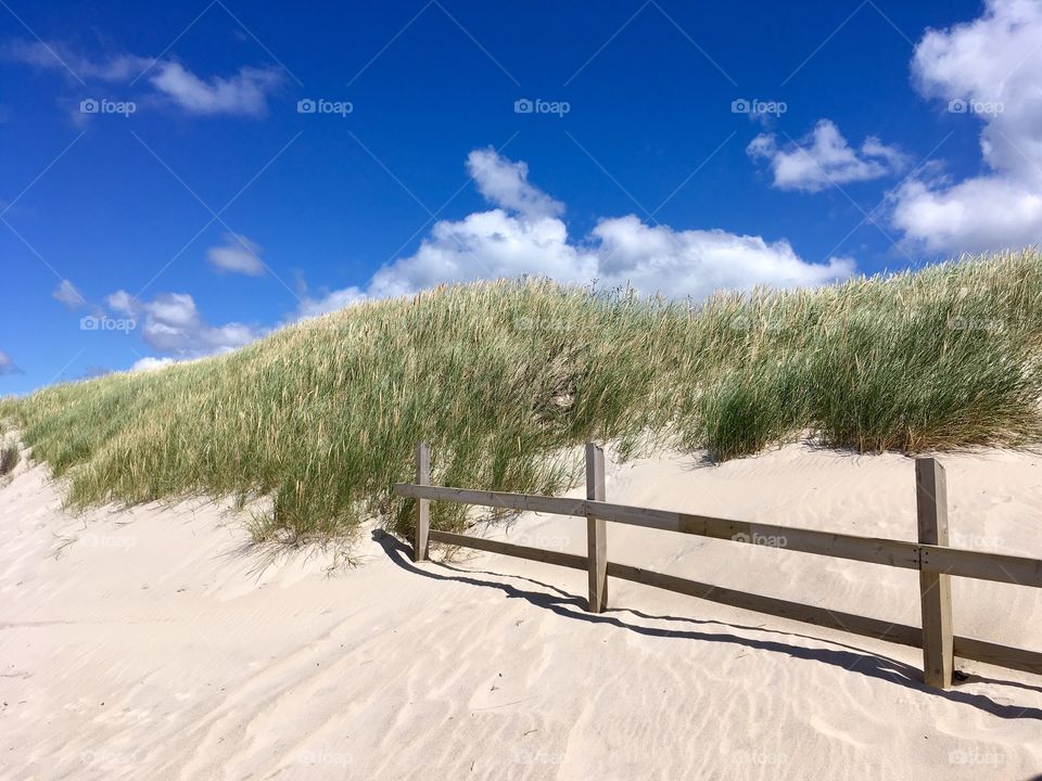 Sylt.North Sea 