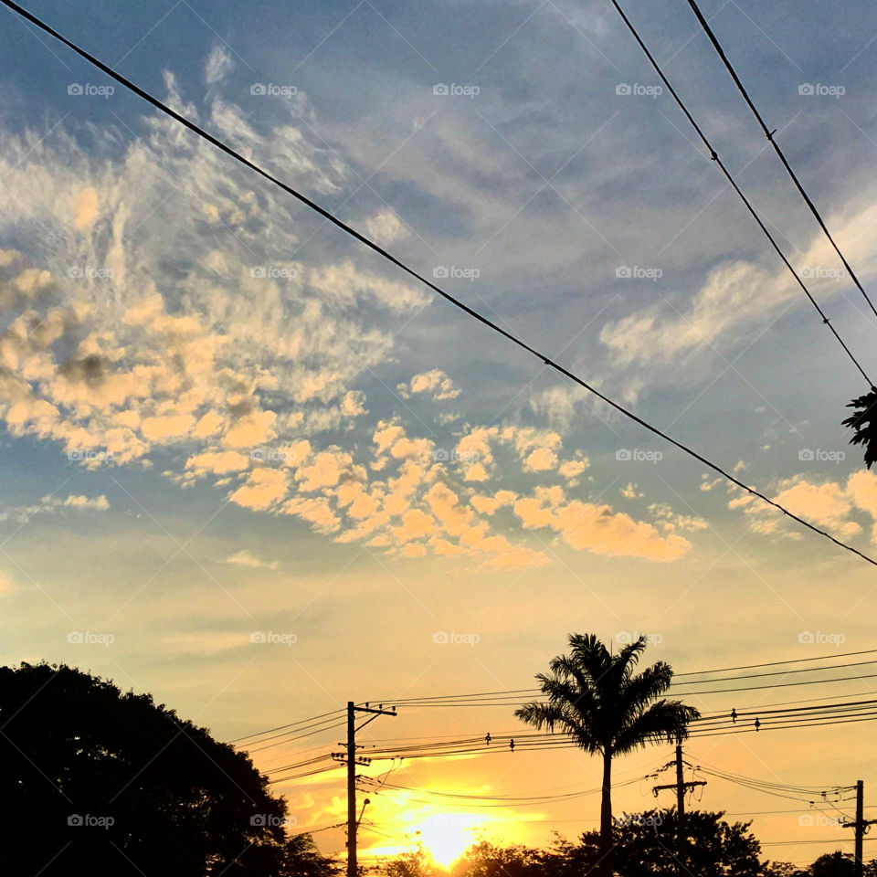 🌅Desperte, #Jundiaí.
Que o #domingo possa valer a pena!
🍃🙌🏻
#sol #sun #sky #céu #photo #nature #morning #alvorada #natureza #horizonte #fotografia #pictureoftheday #paisagem #inspiração #amanhecer #mobgraphy #mobgrafia