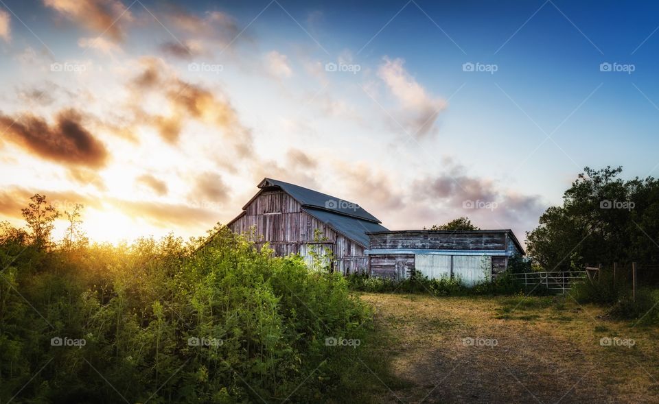 An old barn in field