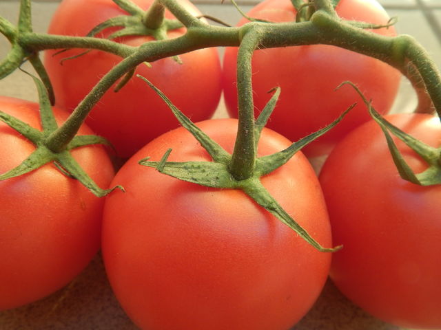 Tomatoes