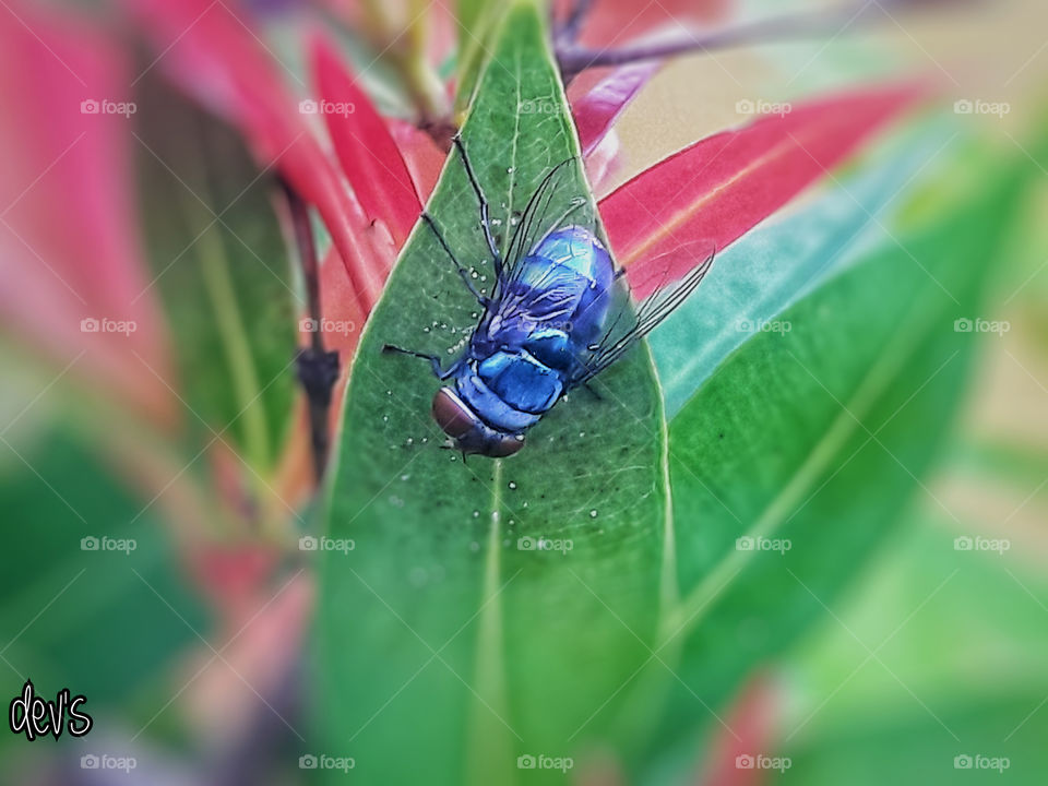 That difference is a blessing. Like a rainbow, the more colors the more beautiful to look at