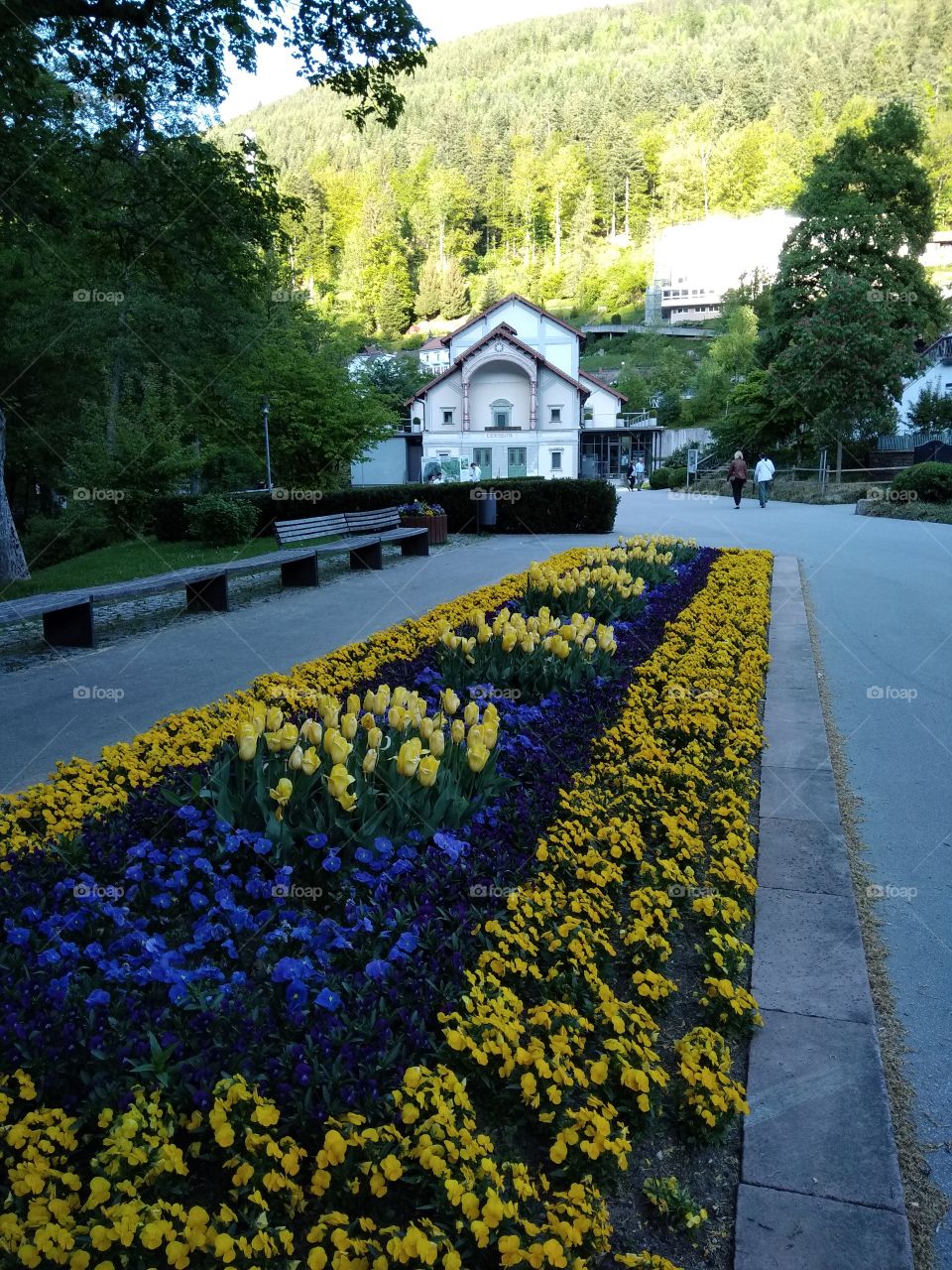 Kurpark in Bad Wildbad