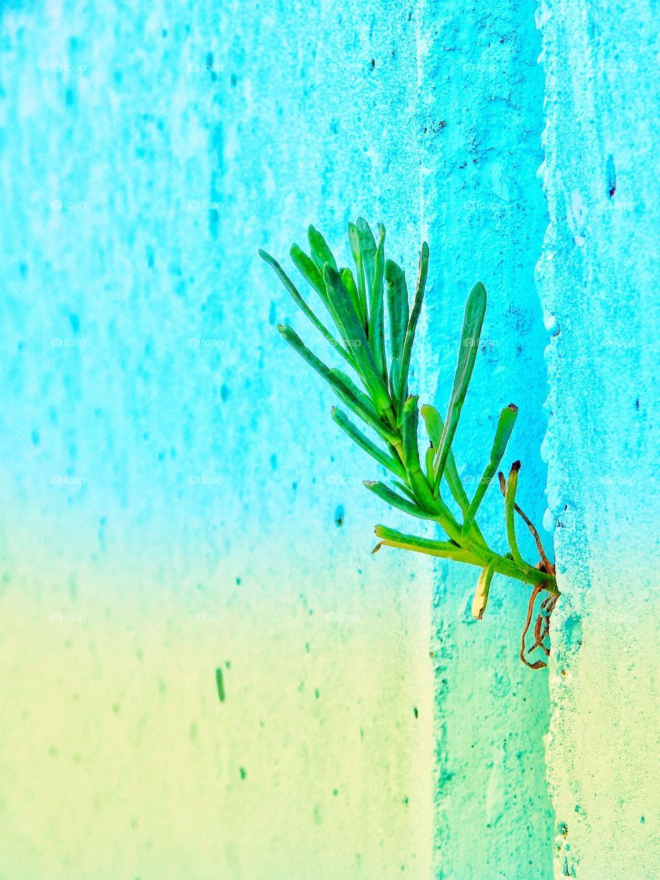 When nature fights back at concrete sea wall