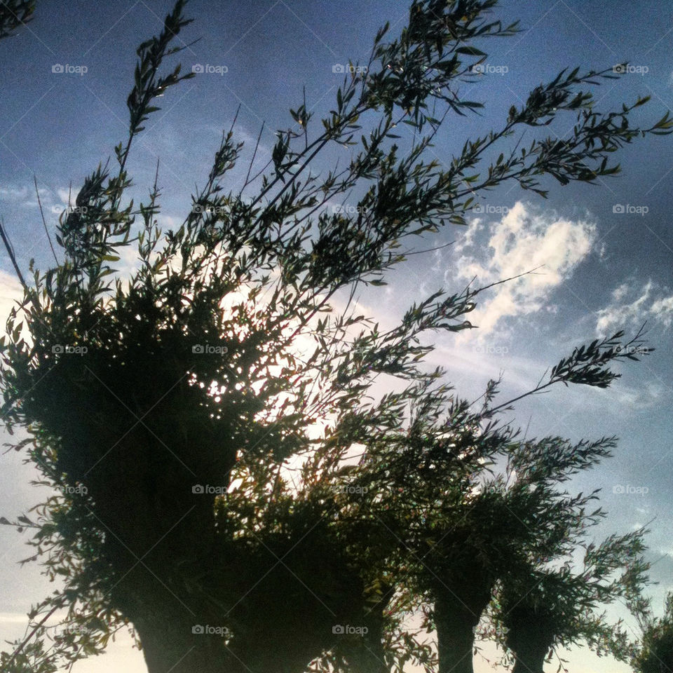 sky sweden blue summer by gitt123