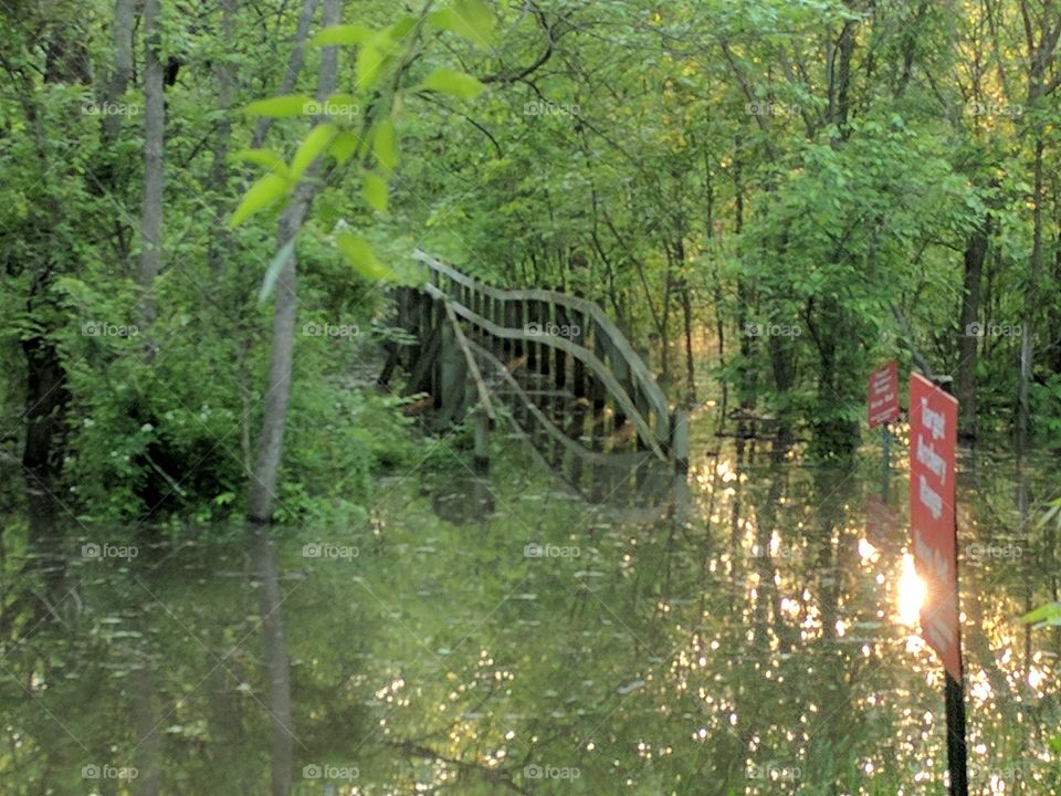 bridge under water