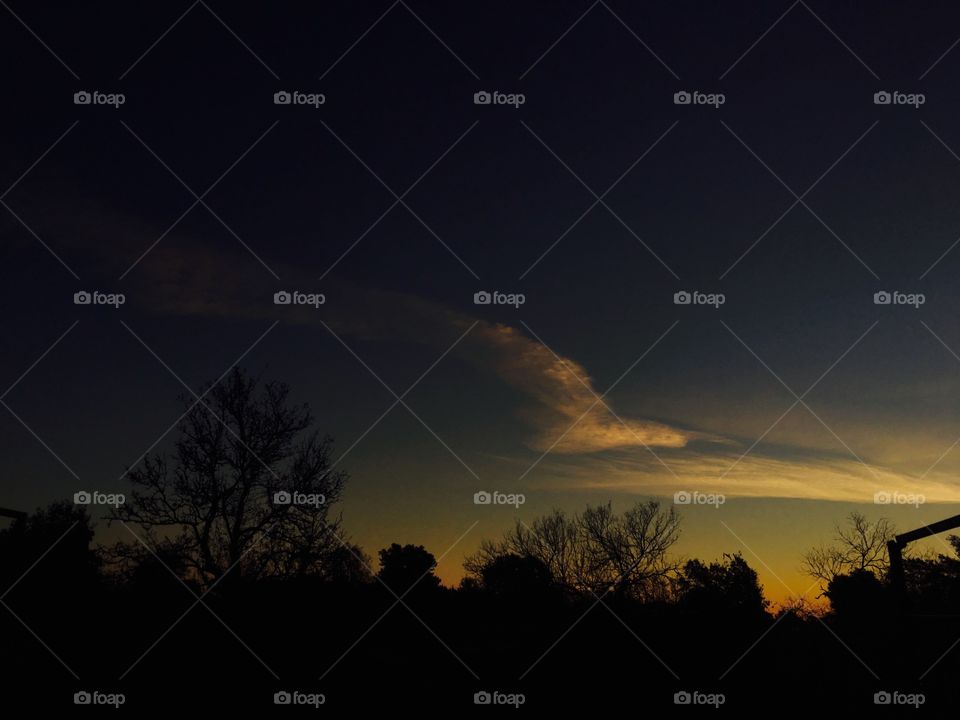 Walking around the house enjoying what nature has for done for us. 