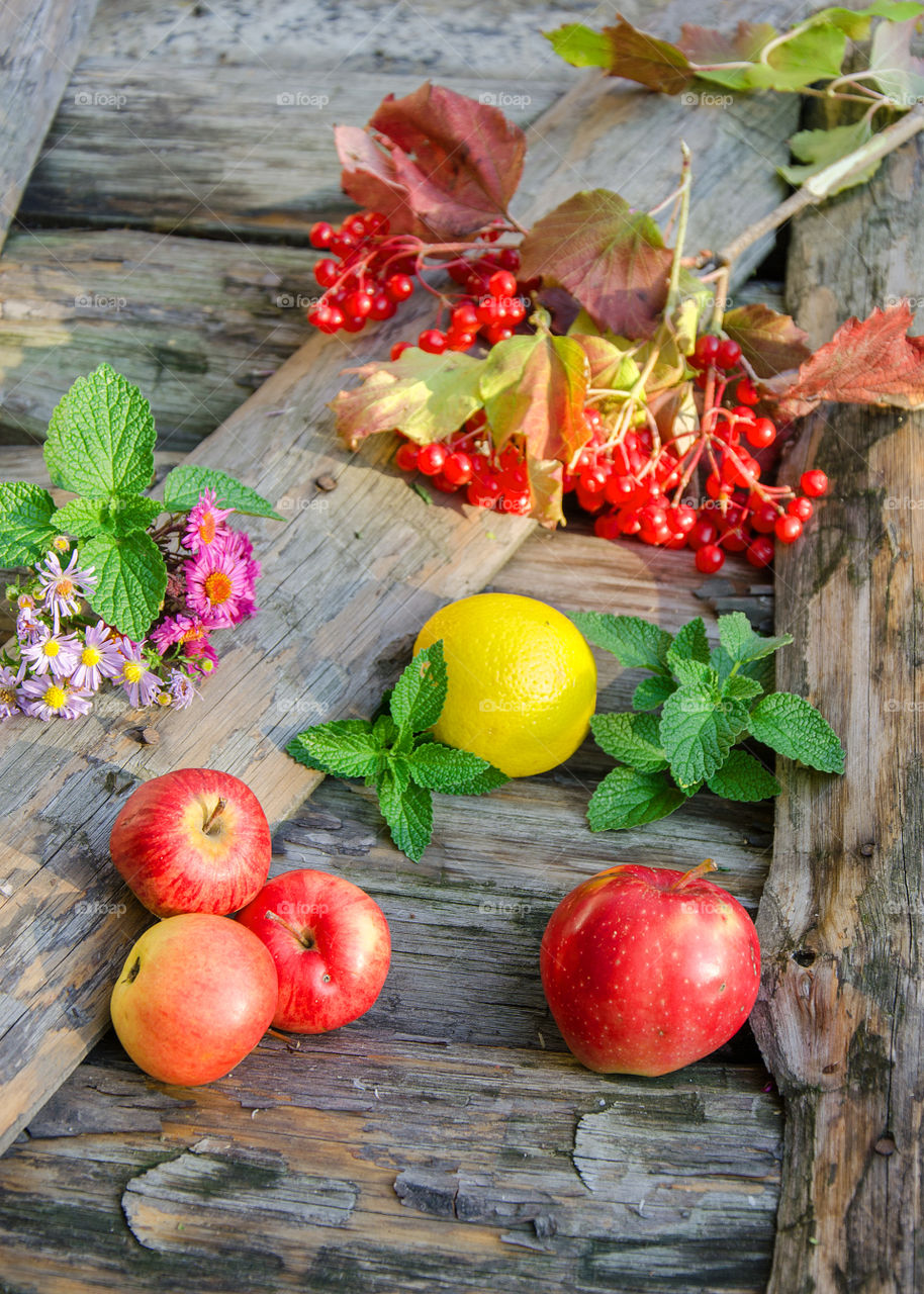 autumn fruits and berries