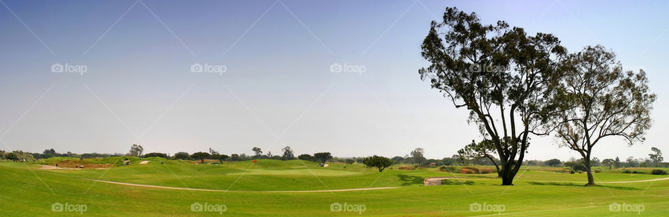 Golf Fairway