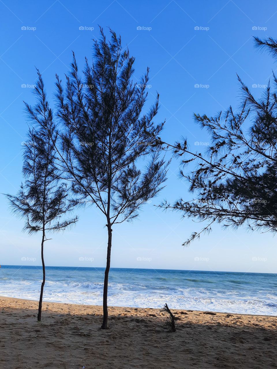 Seaside - Beach in the evening