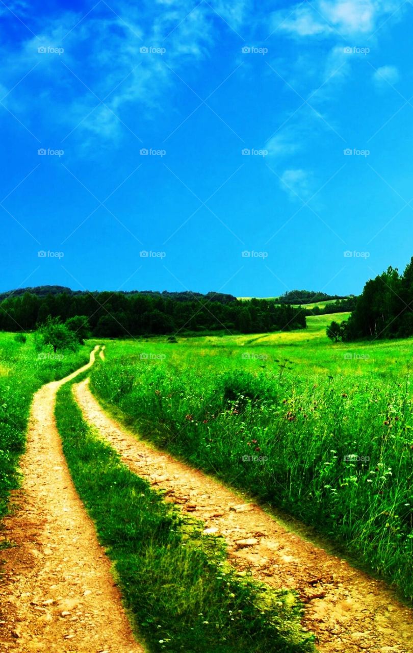 I’m so amazed how a simple photo transformed into this design, so I enjoyed doing this