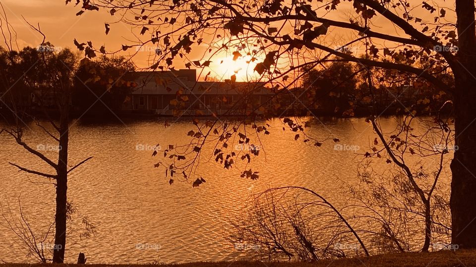 Winter foliage trees losing leaves at an increased rate sky beginning to Orange up. As the atmosphere starts to cool the clouds begin to thin out.