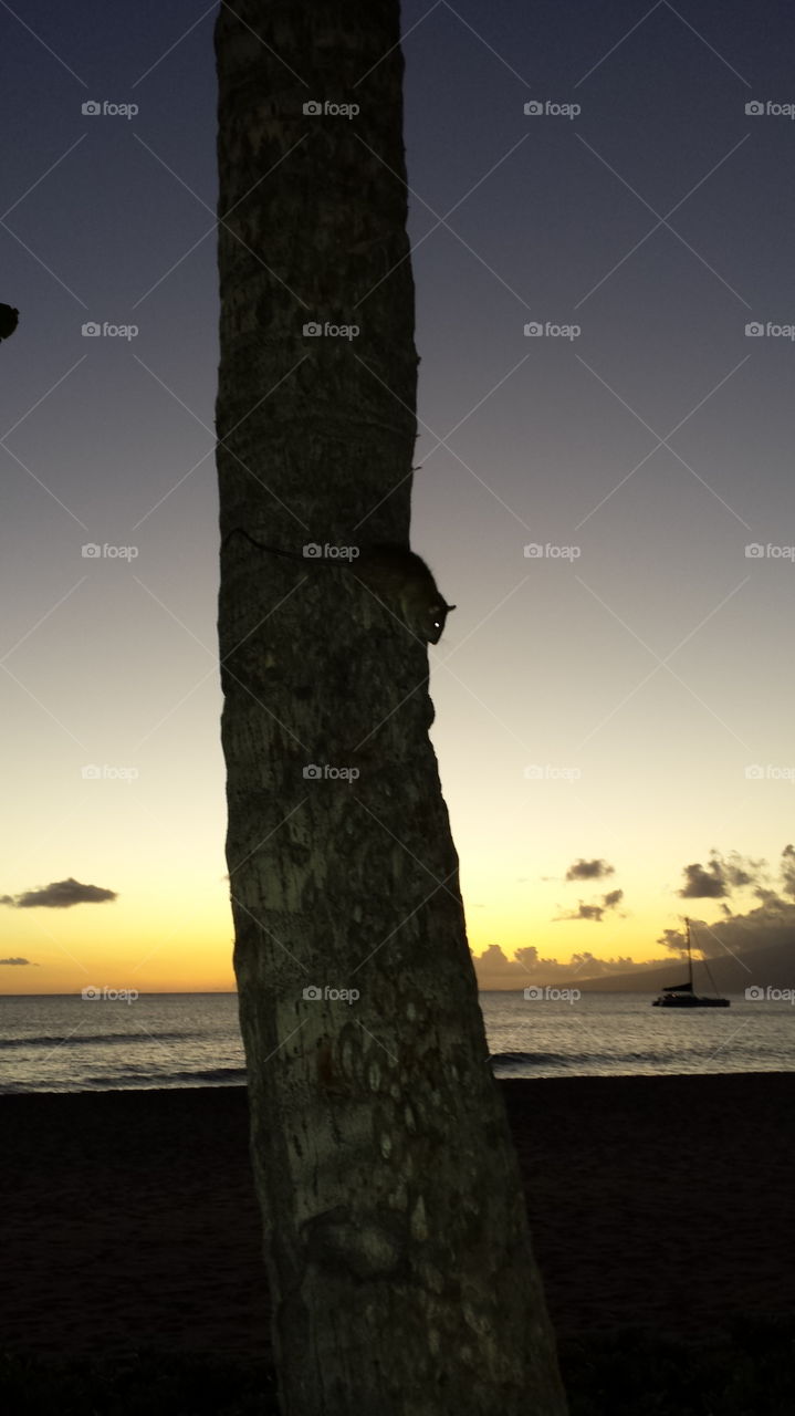 Sunset with my friend . Sunset with my friend