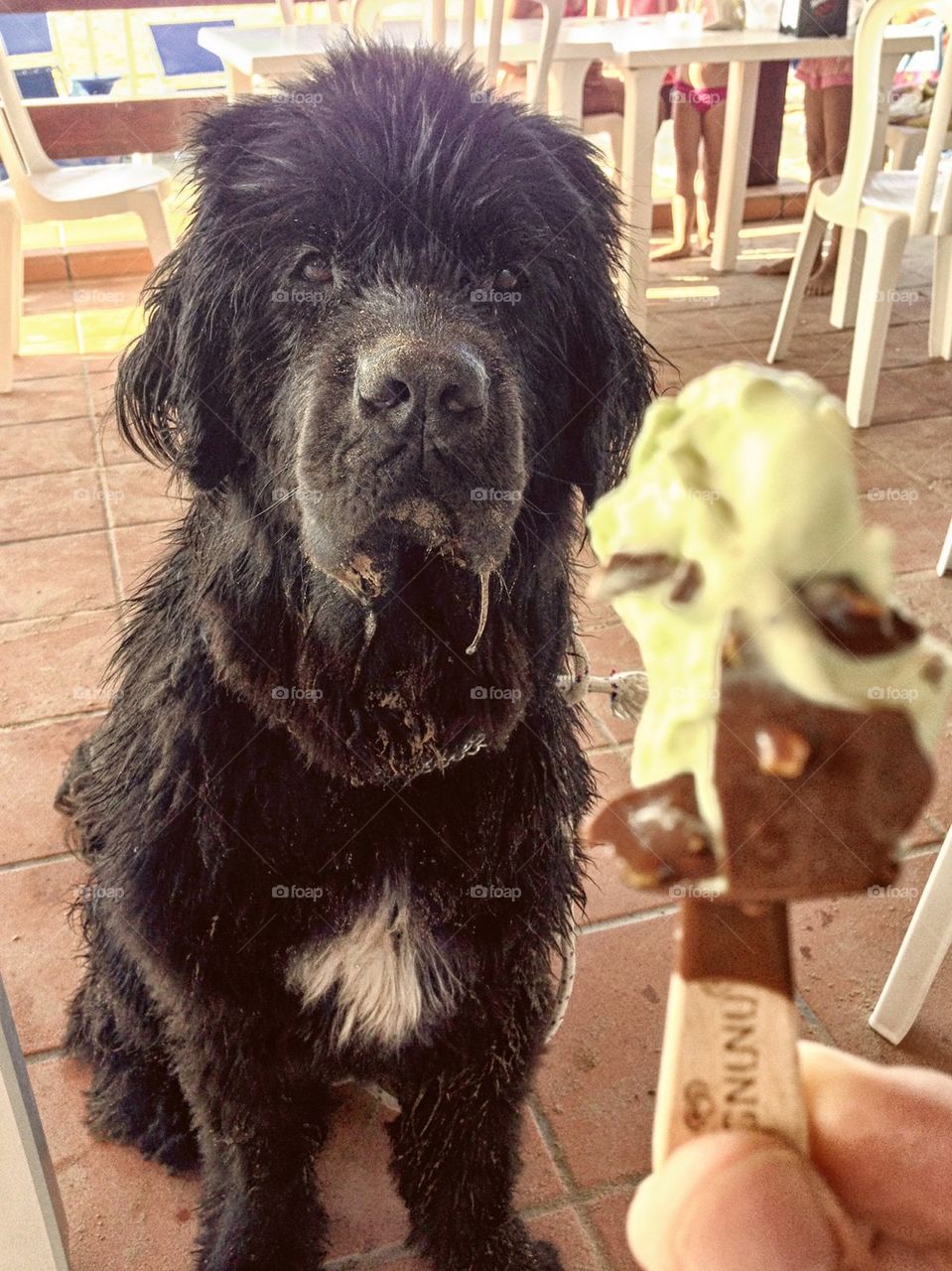 Margot and the icecream