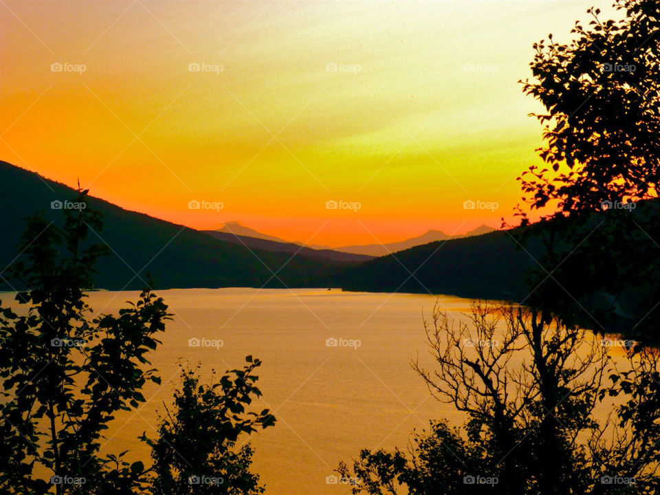 norway summer sunset trees by rob