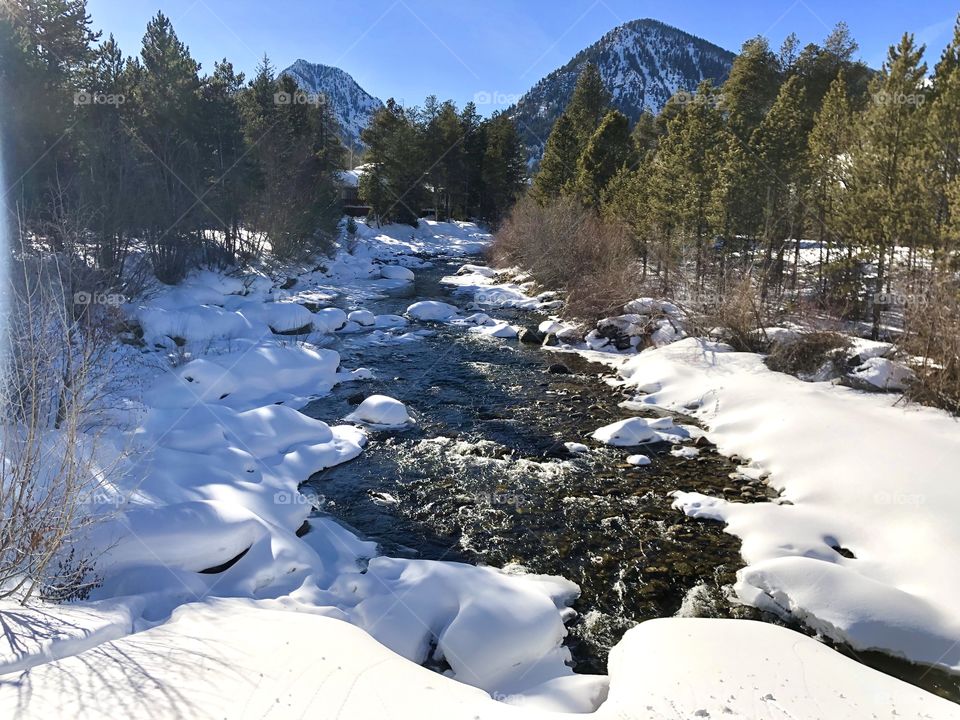 Snow covered creek in the pine forest and mountains.