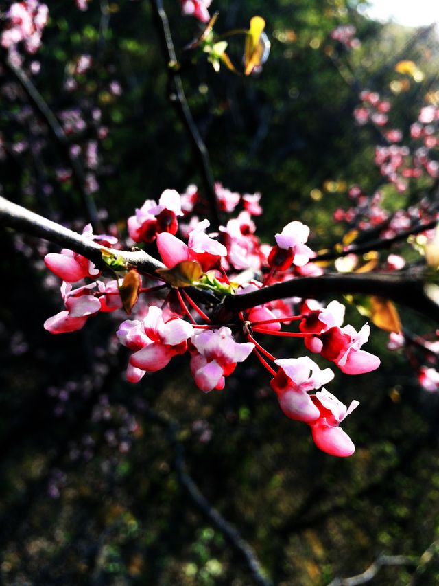 Spring has sprung
