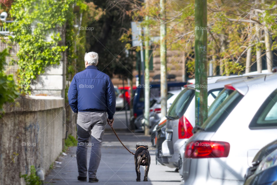 a man takes his dog for a walk
