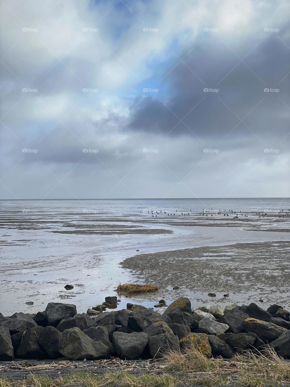Eiland Terschelling. Island The Netherlands, one of my favourite places. Sun, sand and sea