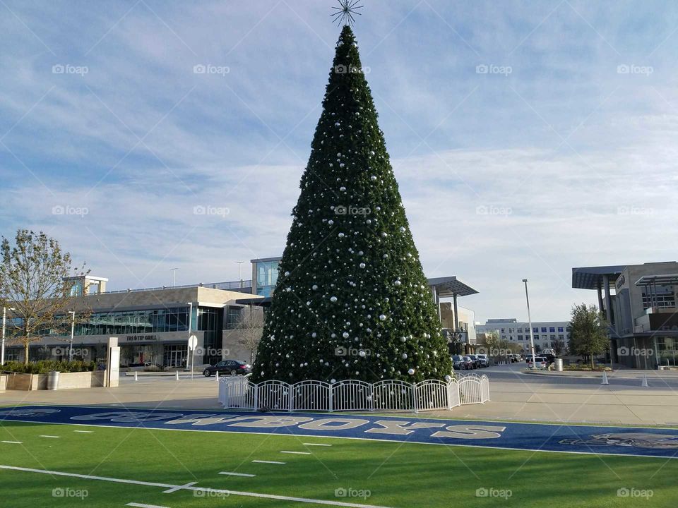 No Person, Competition, Daylight, Architecture, Tree