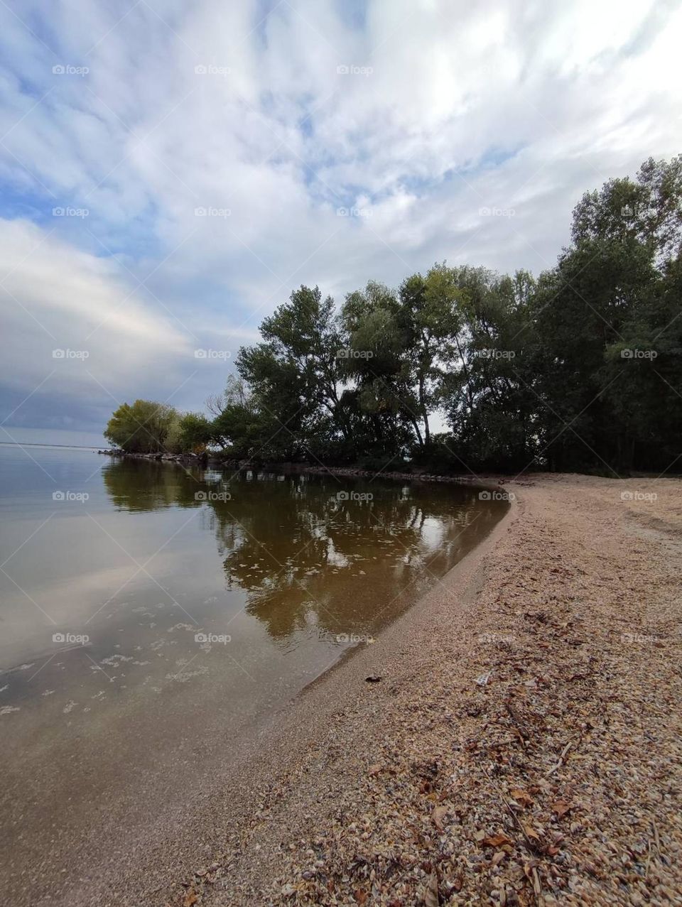 Beautiful waterscape at long exposure. Shell beach line, calm water. Green trees afar, cloudy sky