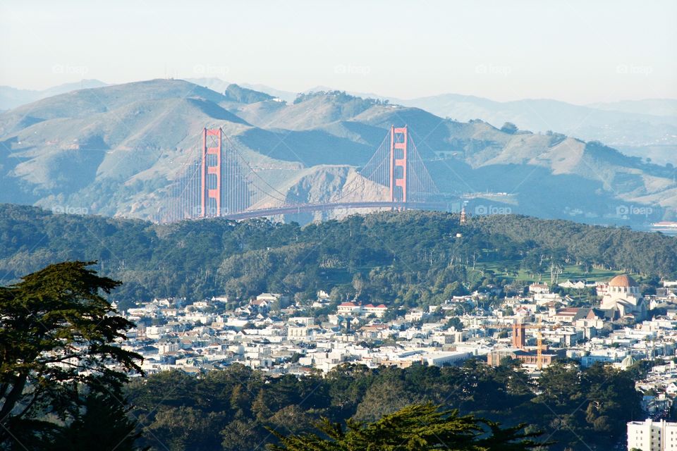 Cityscape with bridge 