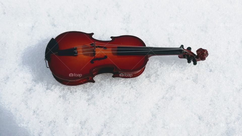 #violin#stringed instruments#musical instruments#no person
