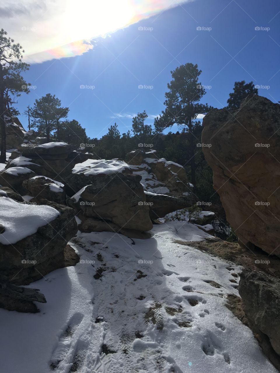 Snowy rocks
