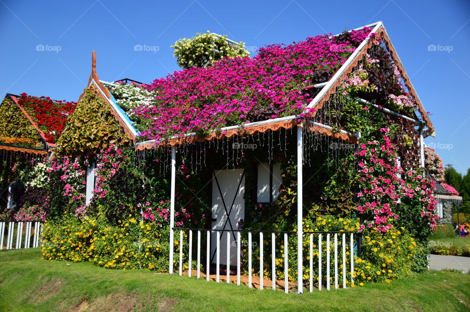 Flower House