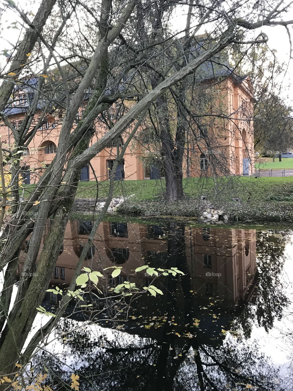 Foliage in Weimar, Germany