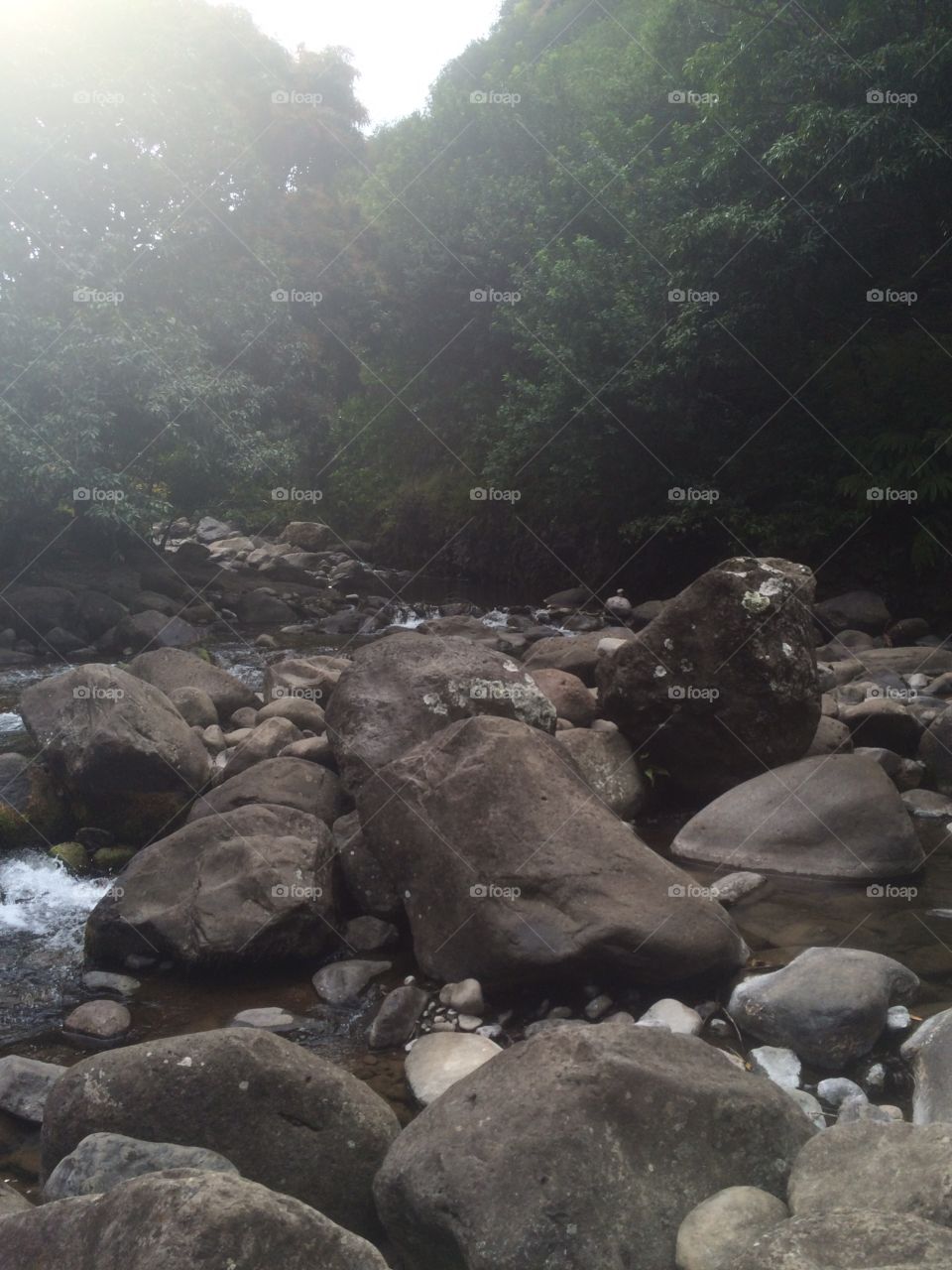 Rocky riverbed