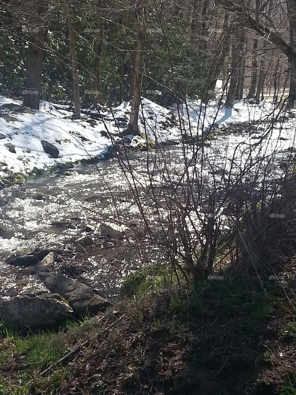 mountain stream
