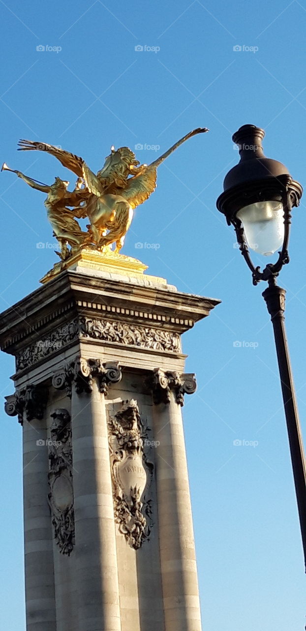 pont alexandre 3 a Paris
