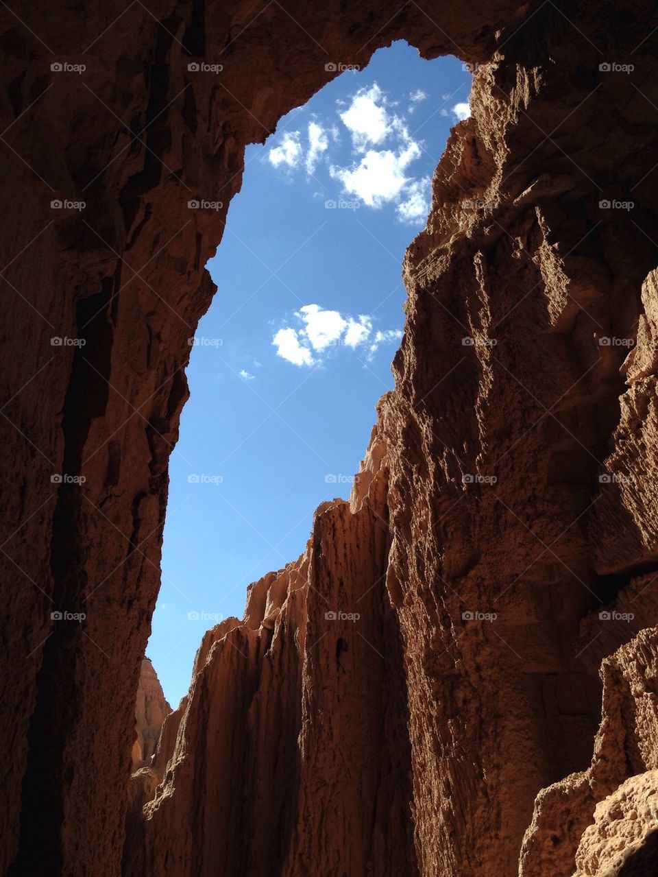 View From Below