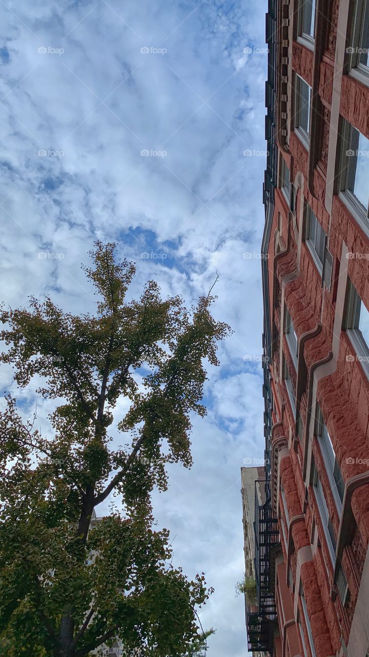 Red orange tall and wide building, square windows, autumn leaves in the trees and the clouds in the sky.