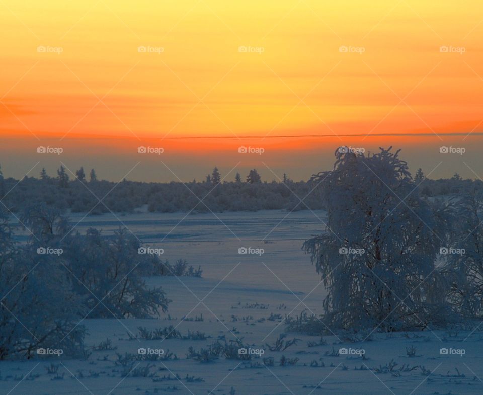 Frosty, north, clean air, cold, skiing, ski trip, winter, skiing, skiing in the forest, Arctic, silence, freshness, skiing, hunter.