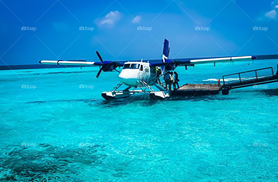 From the water up … 