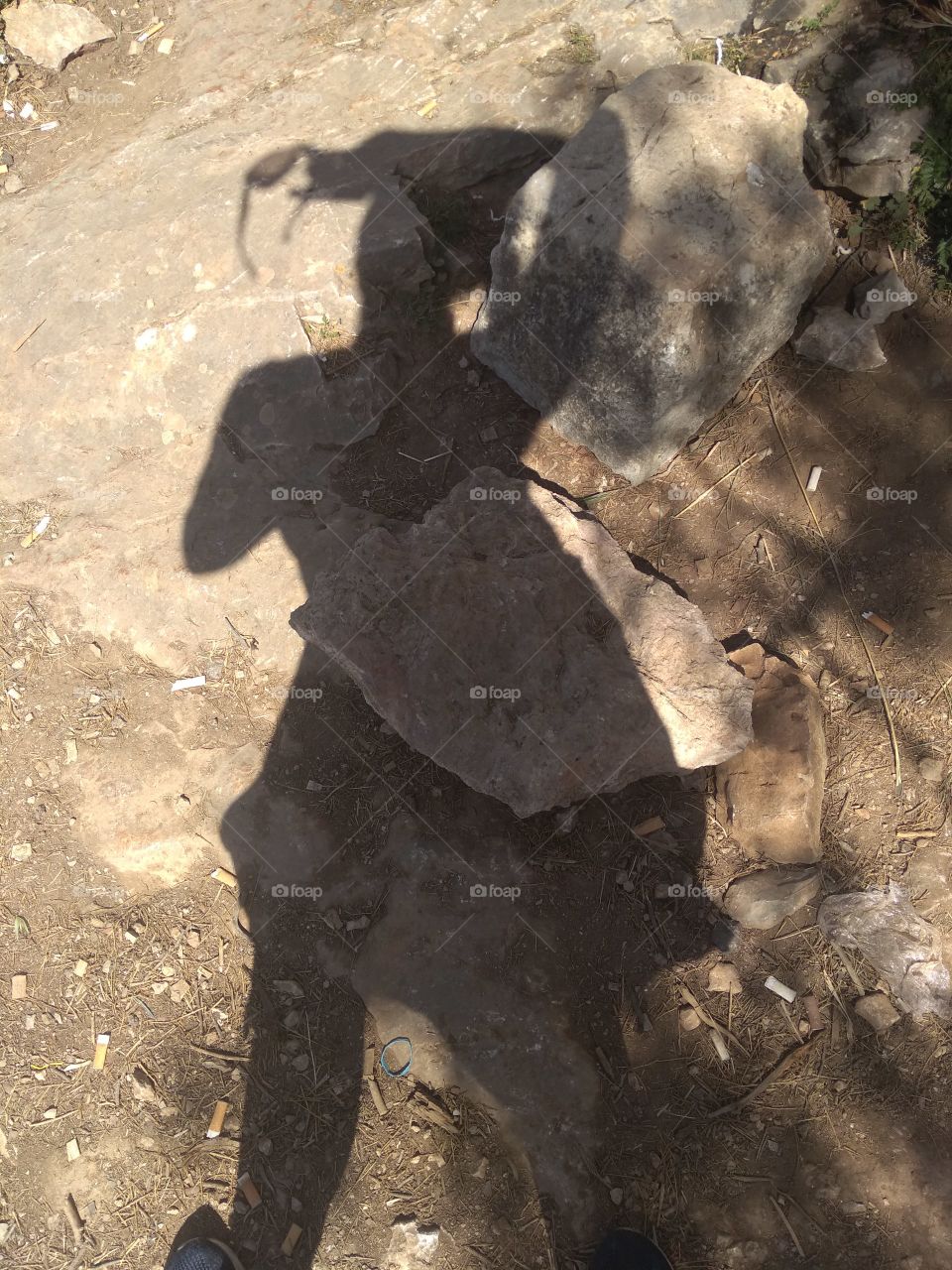 myshadow