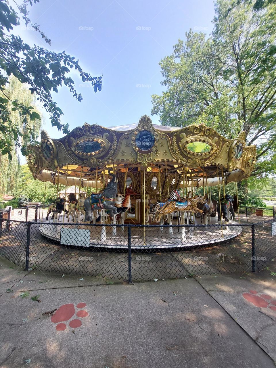 carousel merry-go-round at the zoo
